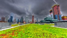 A commercial roof with vegetation, representing a blue roof, in a city of skyscrapers with a storm in the sky.